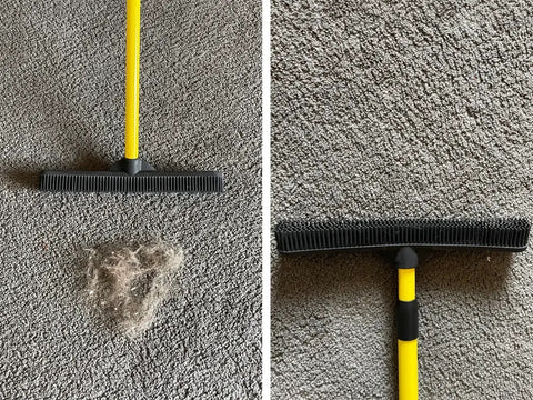 Hair Removal Broom